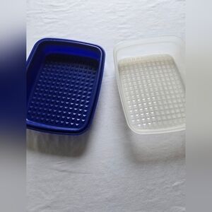 Blue and Clear Food Storage Containers